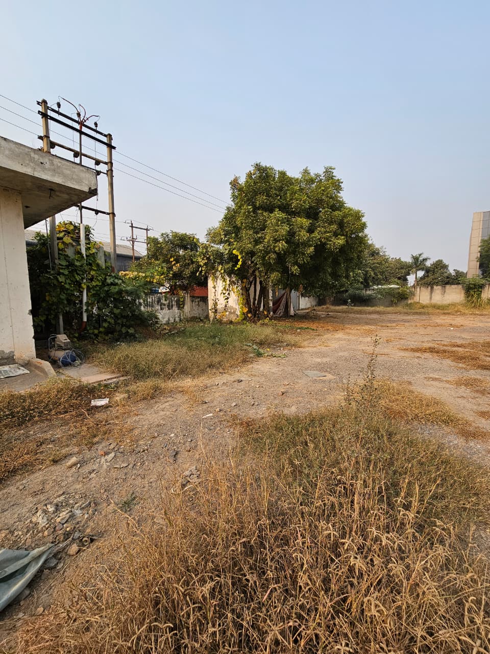 WhatsApp Image 2026 02 02 at 10.31.25 AM