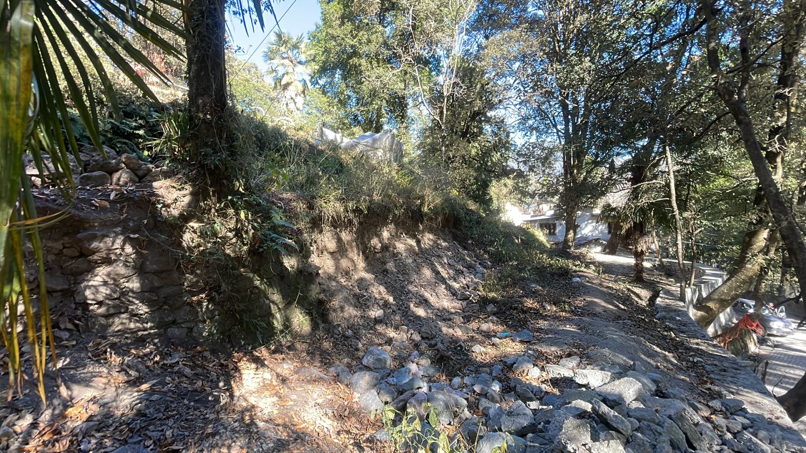 WhatsApp Image 2024 12 16 at 11.14.23 (1)